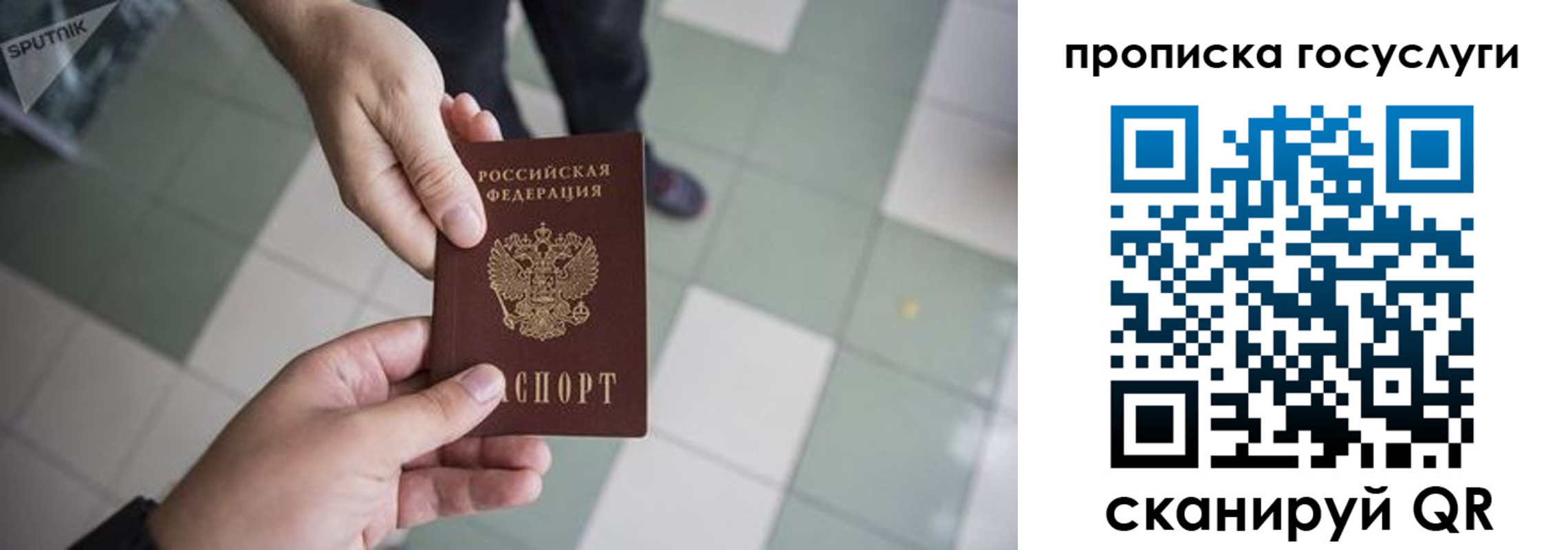 временная регистрация для всех в Балее